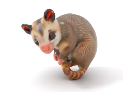 Curious Possum Creature model pack Low-poly 3D model