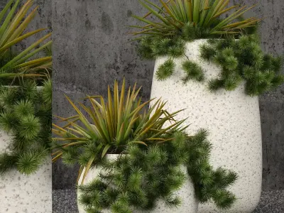 Plants collection 57 3D model