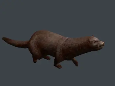 Animated marten Low-poly 3D model