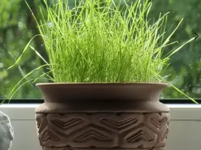 African Flower pot 3D print model