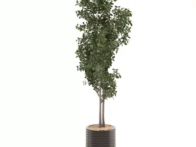 decoration flower-02 Low-poly 3D model