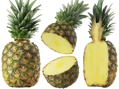 Pineapple 3D model