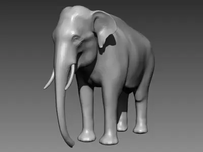 Elephant base mesh for Zbrush 3D model