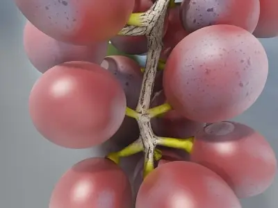Red Grapes High Detail 3D model