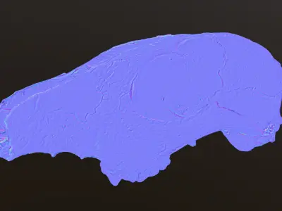 Fox skull Low-poly 3D model