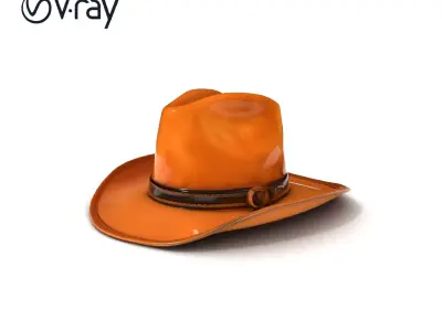 Cowboy Hat D Model Pack for Realistic Rendering Low-poly 3D model
