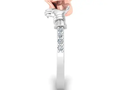 Women Ring  Render 3dm STL OBJ FBX Details 3D print model