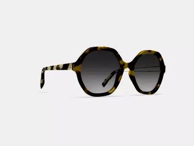 Rachel Sunglasses in Mesquite Tortoise 3D model
