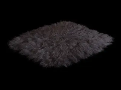Skin sheepskin 02 3D model