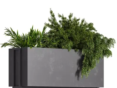Indoor Plant Set 10 3D model