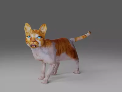 Calico Cat Rigged and Animated V2 in Blender Low-poly 3D model