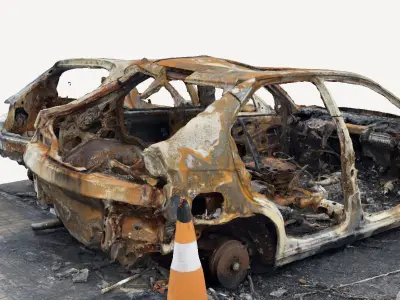 Burned Cars 3D print model