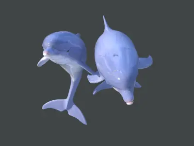 Dolphins two 3D model