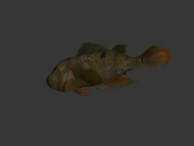 fish 4k Low-poly 3D model