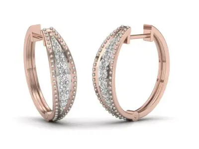 Women Earrings 3D print model