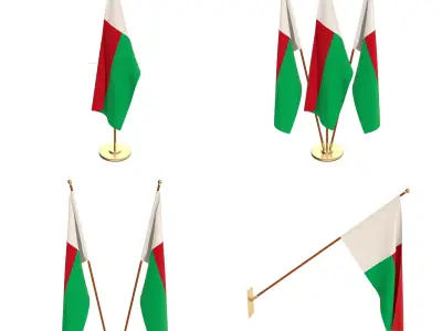 Madagascar Flag Pack 3D model