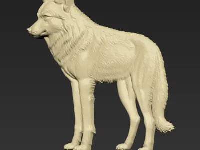 Wolf A105 3D print model