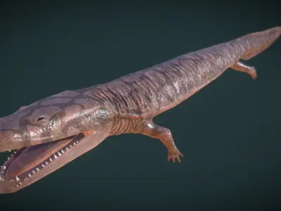 Greererpeton burkemorani Low-poly 3D model