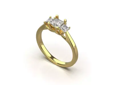  ring code 248 3D print model