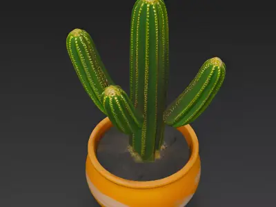 Cactus Pot Plant 3d Model 3D model