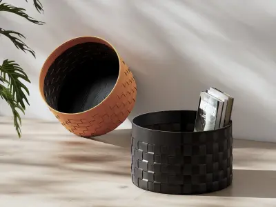 Cestino Basket 3D model