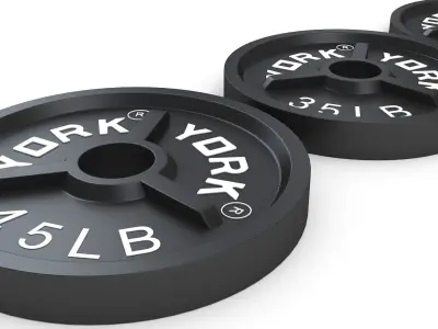 Gym Weight Plates 3D model