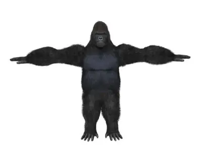 Gorilla Low-poly 3D model