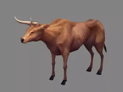 Scrawny buffalo Low-poly 3D model