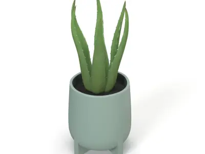 Stoneware Footed Aloe vera Planter  PBR 3D model