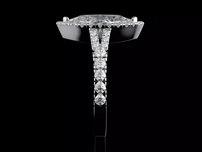 Gold N1579 3D print model