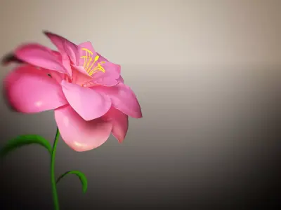 Animated Flower Blooming Flower 3D model