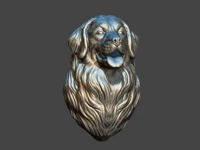 Bernese Mountain Dog 3D print model