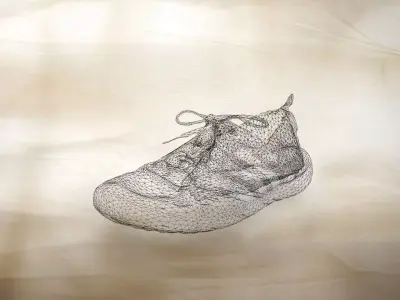 A pair of used Adidas Terrex 007 Low-poly 3D model