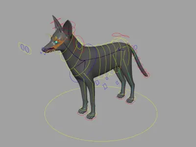Realistic jackal animal 3d model  3D model
