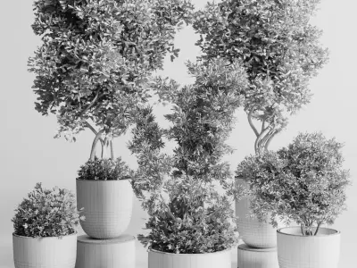 Indoor plant set 303 concrete vase plant tree bush pot Low-poly 3D model