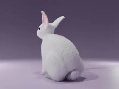 White Rabbit - Coelho Branco Low-poly 3D model