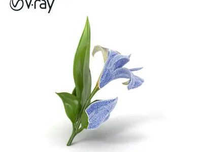 Longiflorum Lily Elegant Petals model pack Low-poly 3D model