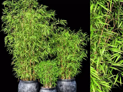 Bamboo Plant Set 3D model