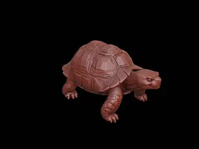 Tortoise Animal Sculpture 3D print model purchase