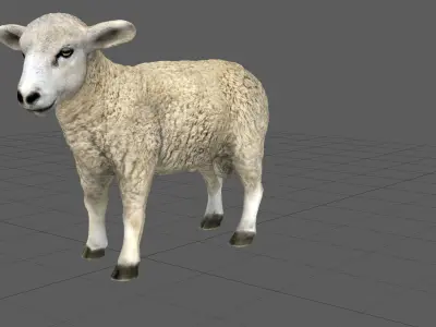 SHEEP Low-poly 3D model