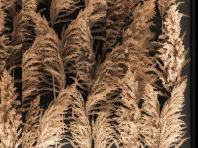 Decorating A Wall Of Dry Reeds For The Interior 258 3D model