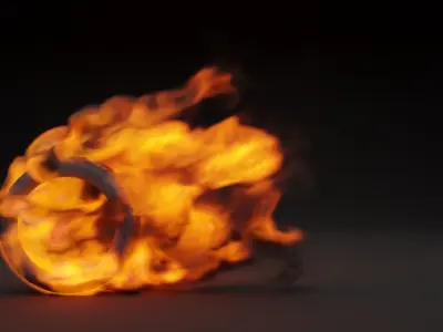 Burning wheel vdb 3D model