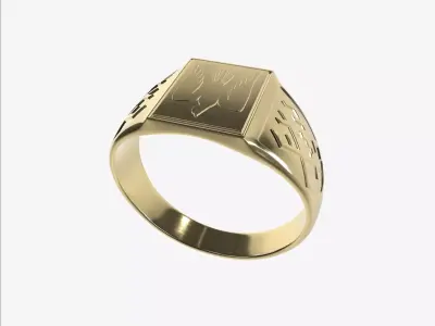 Ring Falcon 3D print model