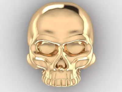 Skull 10 3D print model