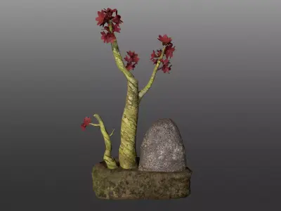 Bonsai Pot  Low-poly 3D model