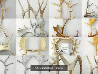 Antlers Collection
