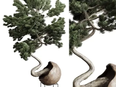 Bonsai 01 indoor plant pot concrete vase 3D model