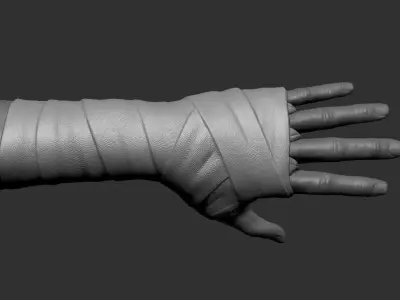 Hand Wraps 3D model
