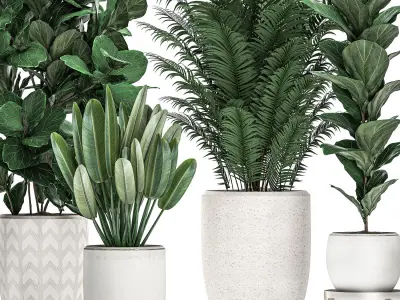 Decorative plants in a white pot for the interior 490 3D model