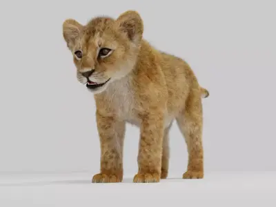 Young Lion Cup 3D model